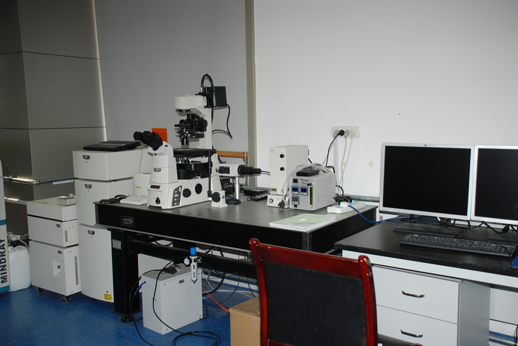 激光共聚焦显微镜（A1型）.JPG